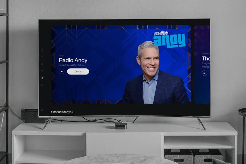 Roku playing Radio Andy